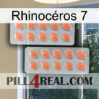 Rhinocéros 7 27